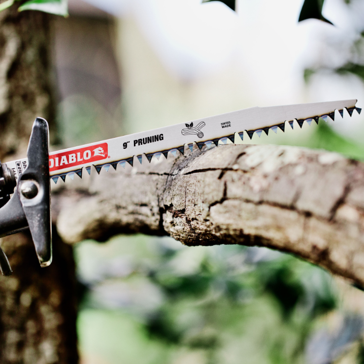 Diablo 2.610.052.328 DS1205FG RecipSawBlade HCS Pruning 12″